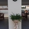 Carisa Livadia Gardens