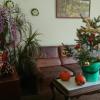 Apartmany u Lipno