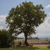 Casale Pian di Fratta