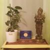 Garden Apartment Donau-City (P&R)