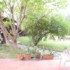 VIVIENDA TURÍSTICA LOS OLIVOS