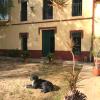 Casona Villa Paquita - Lujosa Villa de 1913