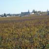 Le Clos des Rosiers