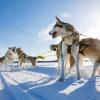 Wilderness Hotel Nellim & Igloos