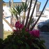Florinda B&B Viareggio