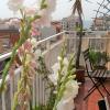 Apartamento Mediterraneo