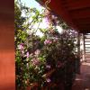 B&B Albaluna