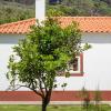 Casa do Bago