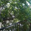 Apartment Eurho