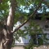 Apartment Eurho