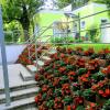 AJO Apartments - Alte Donau Terrace Studio - Self-Check-in