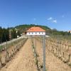 Somló Kolonics Kúria