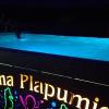 Cabana Plapumioara