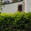 La Casa di Gigliola