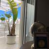 Cappellanio Suite & Apartament