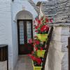 Trulli Family - Trulli&Cummerse