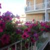 B&B Paradisett