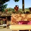 The Hobbit House - Montes da Ronha