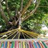B&B Borgo del Priolo - Petfriendly