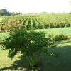 Le Clos des Rosiers