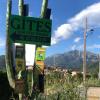 Gîtes à COZZANO
