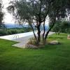 Tenuta San Giovanni Lucca - Borgo Ai Rovai