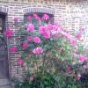 Domaine de Gentilly