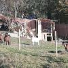 Haus Alpin Lofer