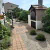 Apartment Maslina