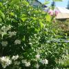 Apartmany u Lipno
