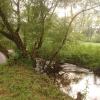 Apartmany u Lipno