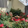 Guest House Zadeja