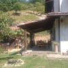B&B IN FATTORIA