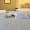 Apartamentos Surest