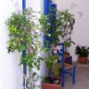 Christos Rooms