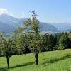 Apartement Vorderlaiming