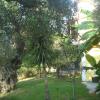 Villa Theodora