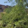 Minaides Hotel