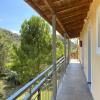 Anemona Studios