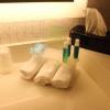 Monahans Country Inn