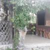 Pensiunea Casa Domniței Sucevița