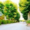 Domaine du Manoir