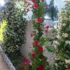 Bed and Breakfast Angolo Fiorito