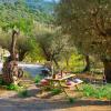 Villa Mancor Pool & Mountain Views