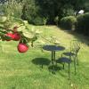 Rosebank B&B