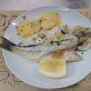 Hostal Ardoi