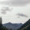 Ferienhaus Alpen Lodge und die Gams