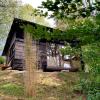 Trees House Parang