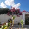 Mouras Resort