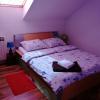 Apartman Danijel Jagic